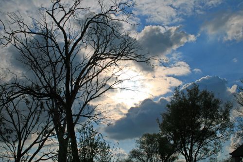Sun Behind Clouds And Tree