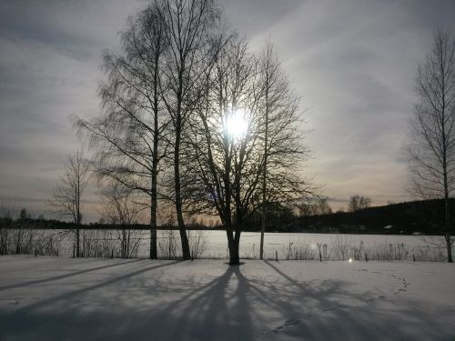 sun behind the tree snow sweden