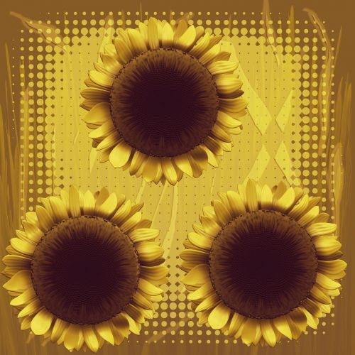 sun flower background yellow