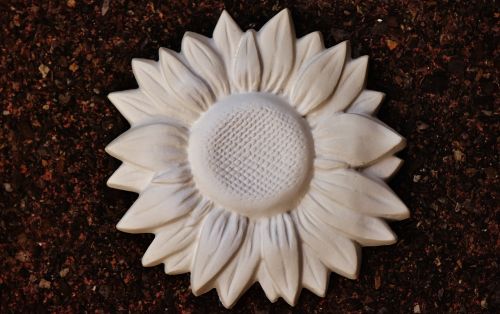 sun flower gypsum blank
