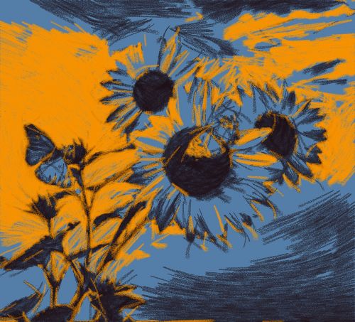 sun flower summer painting