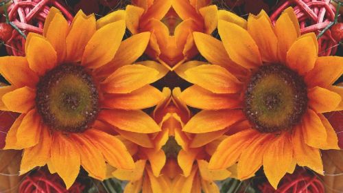 sun flower mirrored art