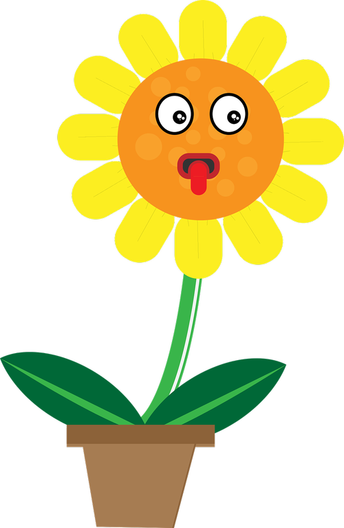sun flower  character animation  cute