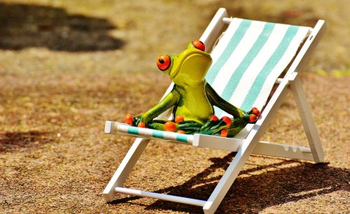 sun loungers beach frog