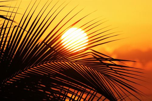 sun of jamaica sun sunset