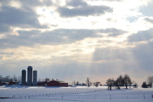 sunbeam  canada  farm