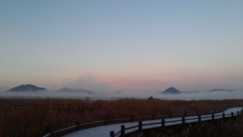 suncheon bay dawn fog