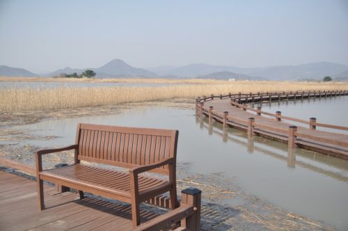 suncheonman bay chair water