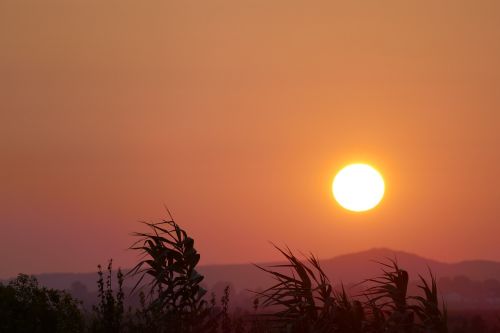 sundown tërbuf albania