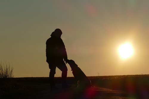 sundown  dog  portrait