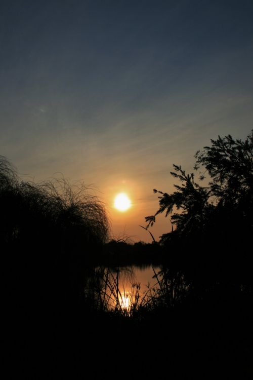 Sundown Over Pond