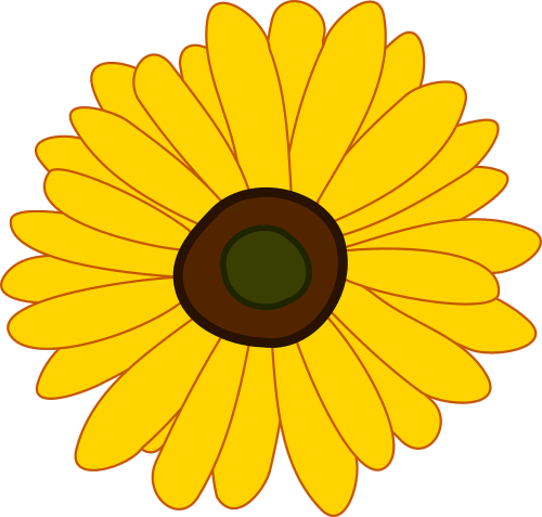 sunflower flower plant