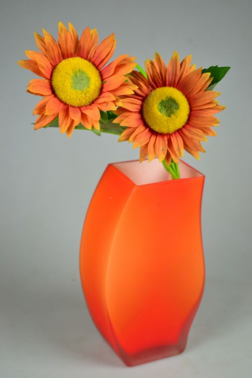 sunflower orange warm