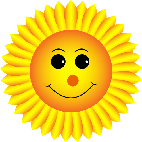 sunflower smiley face