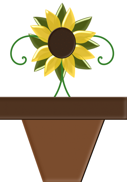 sunflower flower pot flower