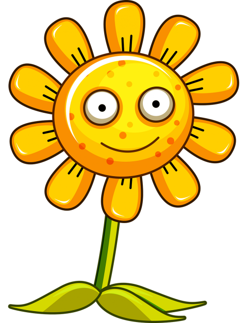sunflower plant sun