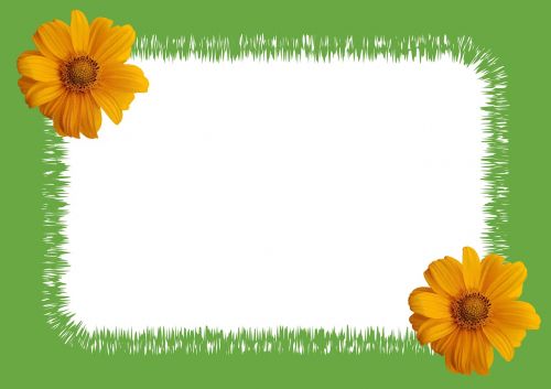 sunflower photo zigzag frame