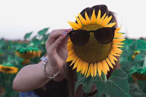 sunflower  sunglasses  sun