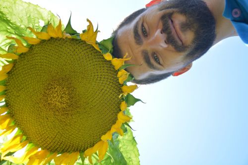 sunflower day solar