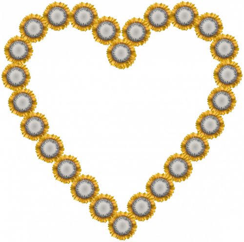 Sunflower Heart II