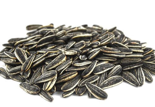 sunflower seed  seed  nuts
