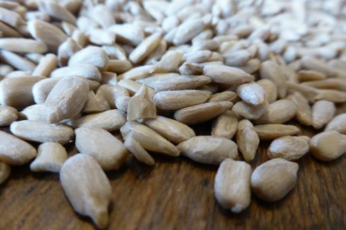 sunflower seeds grains seeds