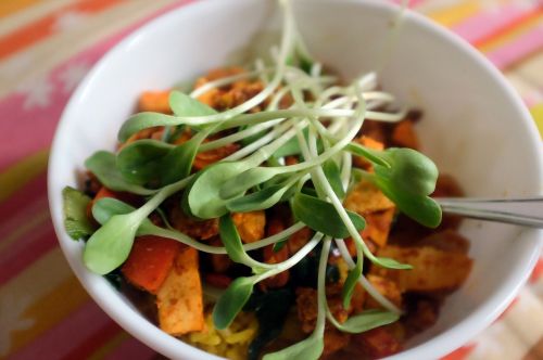 sunflower sprouts salad food
