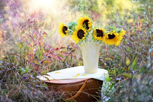 sunflowers vase fall