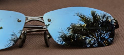 sunglasses italy palm trees