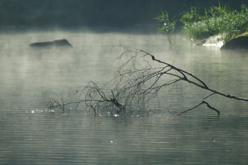 sunlight reflection w