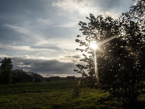 sunlight field meadow