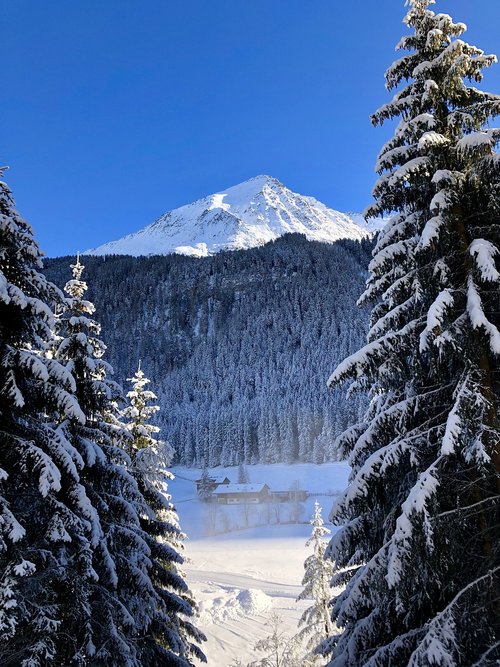 sunny  snowy  winter