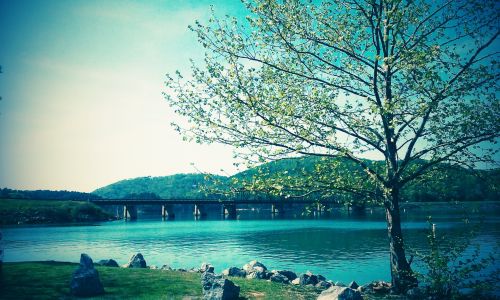 Sunny Bridge Near A Lake