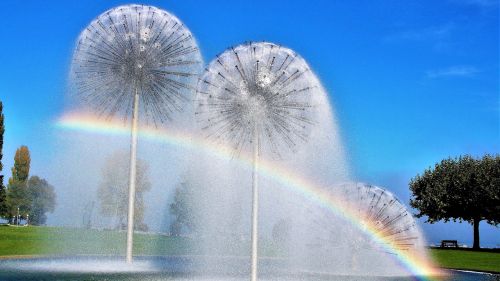 sunny day fountain screen