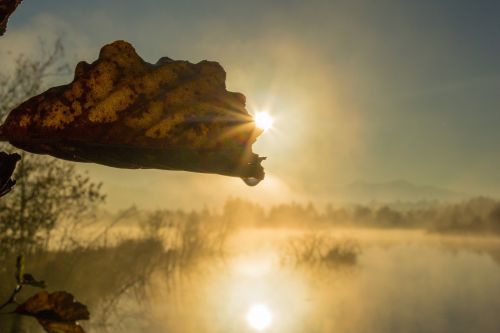 sunrise moor nature