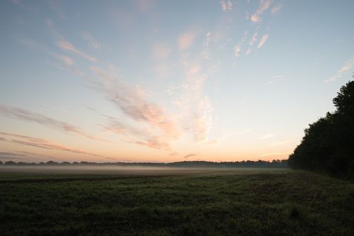 sunrise field fog