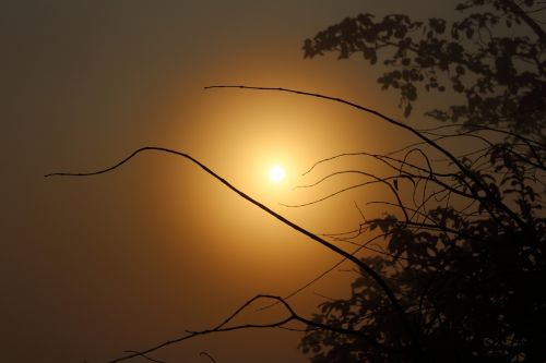 sunrise silhouette sky