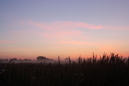 sunrise early morning fog