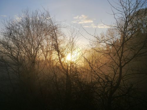 sunrise fog autumn