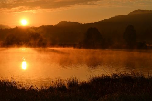 sunrise pond fog