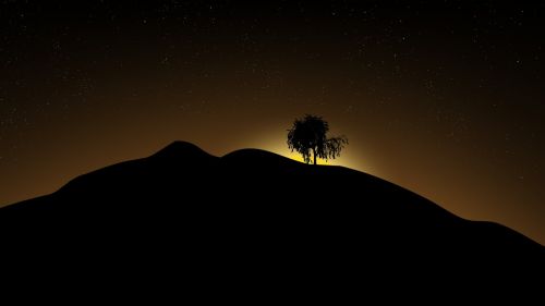 sunrise silhouette tree