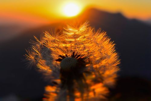 sunrise mountains nature