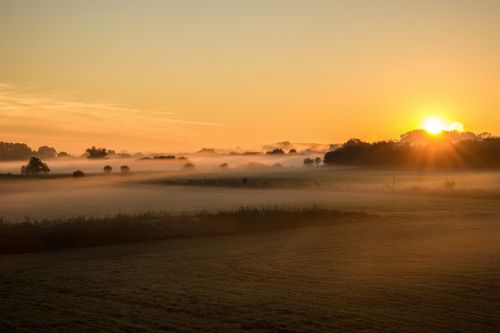 sunrise fog fields