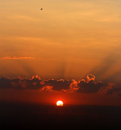 sunrise cloud twilight