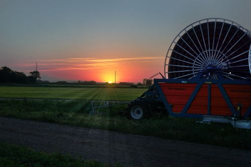 sunrise agricultural farmer