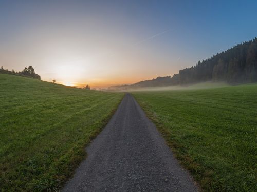 sunrise fog path