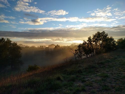 sunrise canberra fog