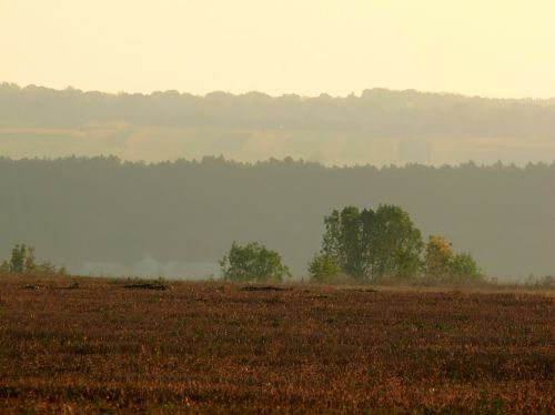 sunrise field ukraine