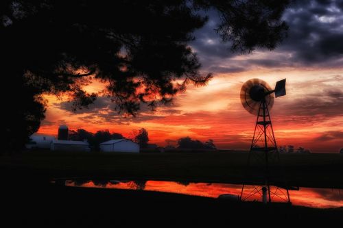 sunrise windmill trees