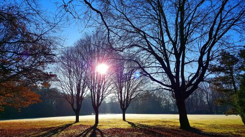 sunrise park landscape